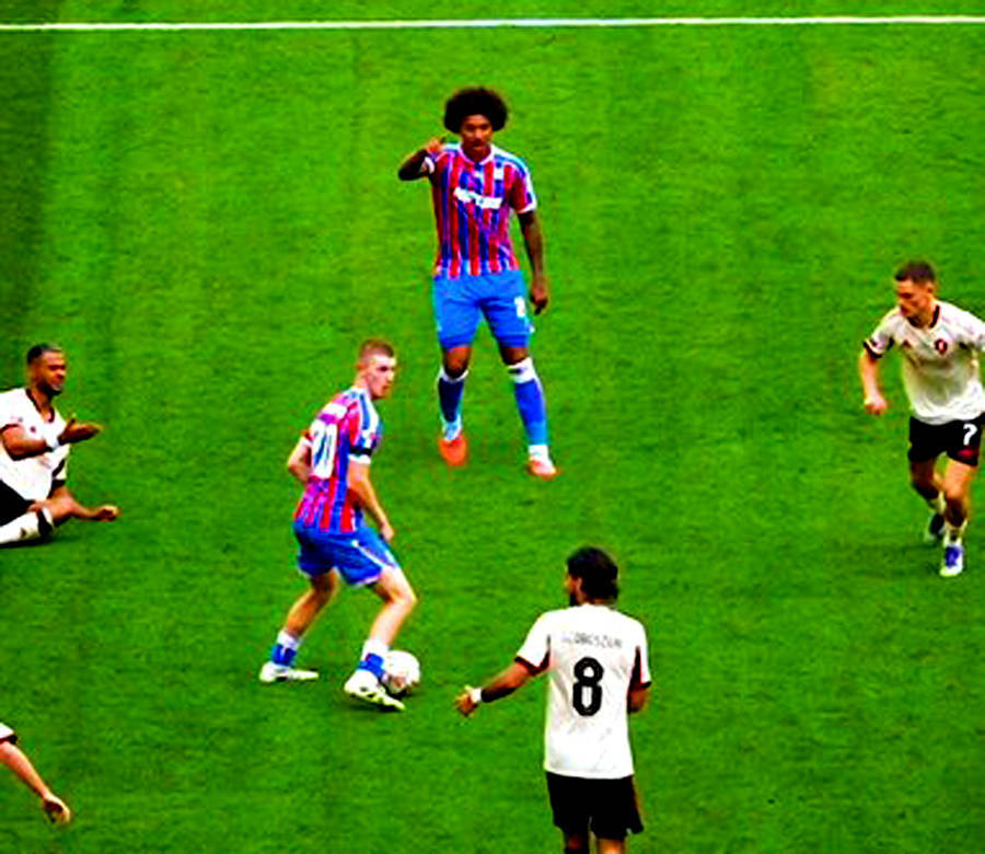 曼联冬窗签新卡里克已无可能!水晶宫欲与之续约,解约金数额已定